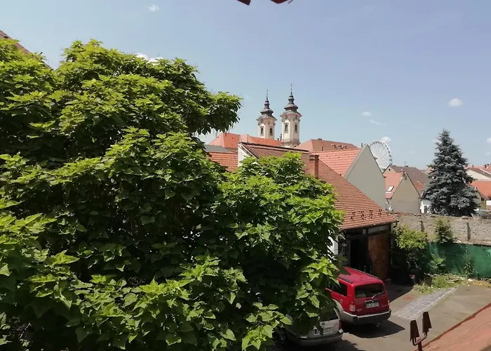 Daire Cehmesterek Eğri